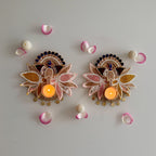 Mayur Pushp T-Lite